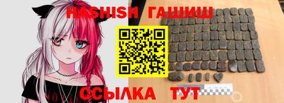 МДПВ Новозыбков