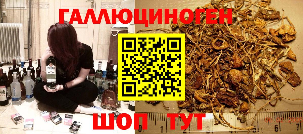 Уварово  Галлюциногенные грибы прущие грибы  Вход с VPN  Галлюциногенные грибы Psilocybe 