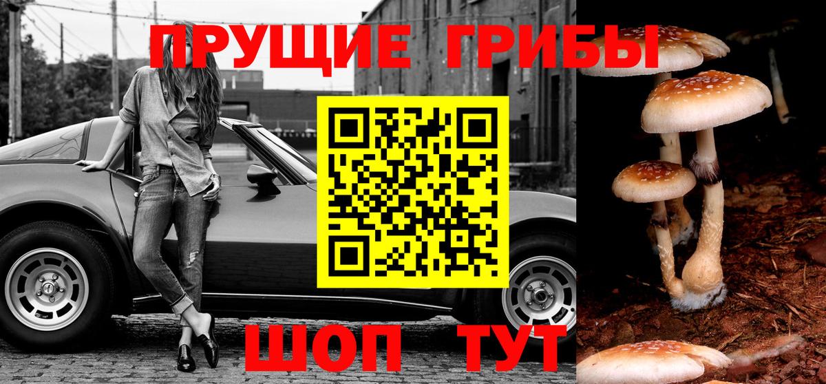 Галлюциногенные грибы мицелий Уварово
